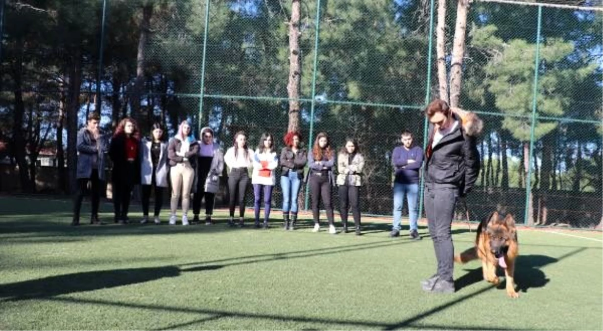 Edirne'de üniversite öğrencilerine 'köpek eğitim' kursu