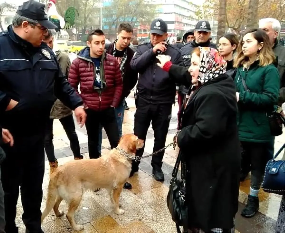 Köpeğini yağmur altında bırakan kadına tepki Haberler