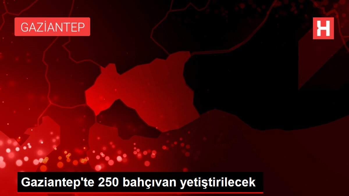 Gaziantep'te 250 bahçıvan yetiştirilecek