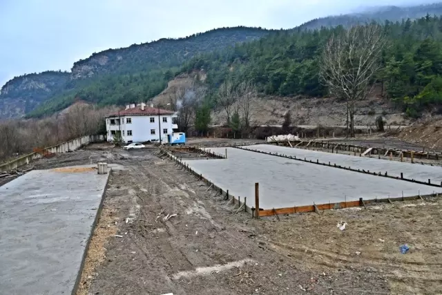 Karabük modern hayvan barınağına kavuşacak Haber