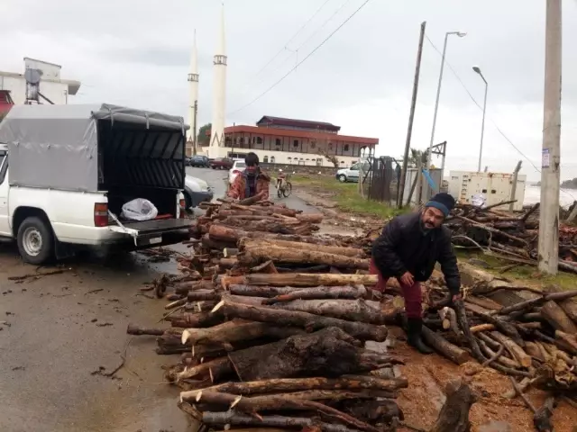 Sel sularıyla taşınan odunları topladılar