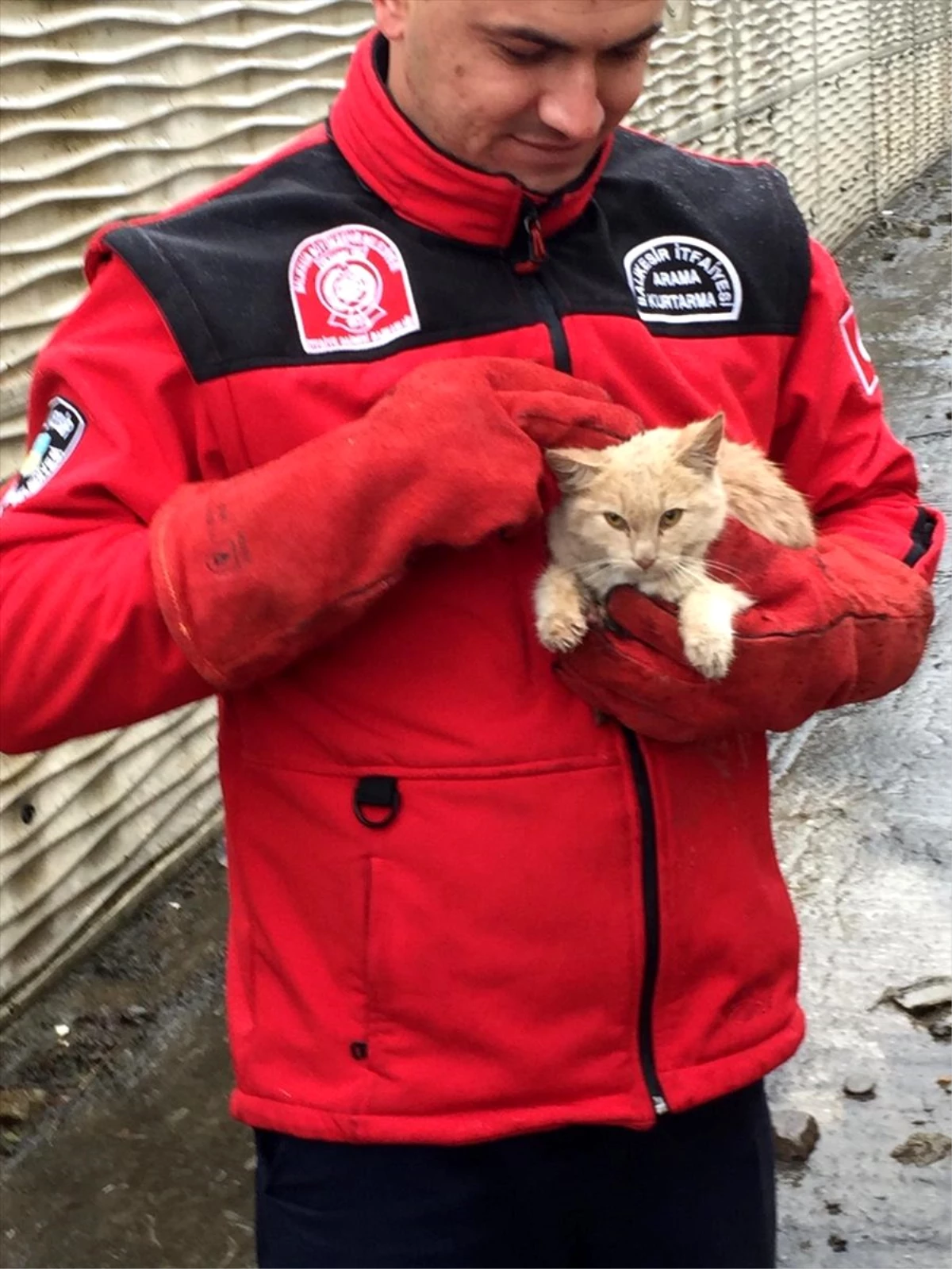 Sındırgı�da kanala düşen kedi yavrusu kurtarıldı Haberler