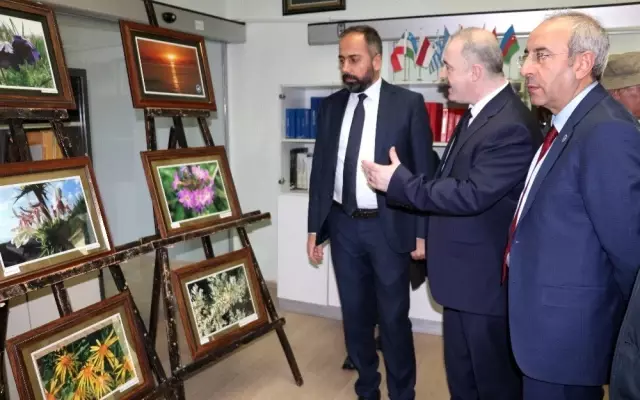 Türkiye'nin bilimsel ilk sanal herbaryumu 'VANF' açıldı Türkiye'nin bilimsel ilk sanal herbaryumu 'VANF' açıldı