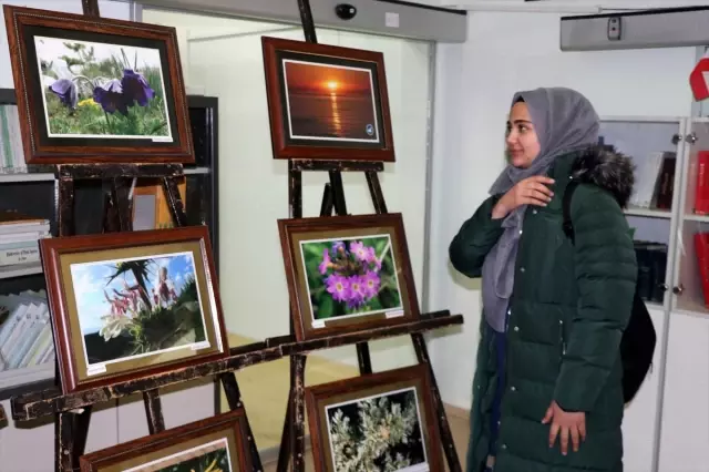 Van Yüzüncü Yıl Üniversitesinde sanal herbaryum açıldı Van Yüzüncü Yıl Üniversitesinde sanal herbaryum açıldı
