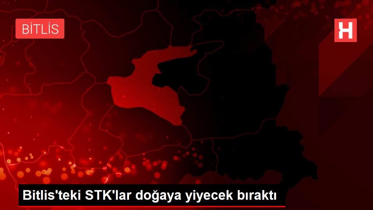Bitlis'teki STK'lar doğaya yiyecek bıraktı
