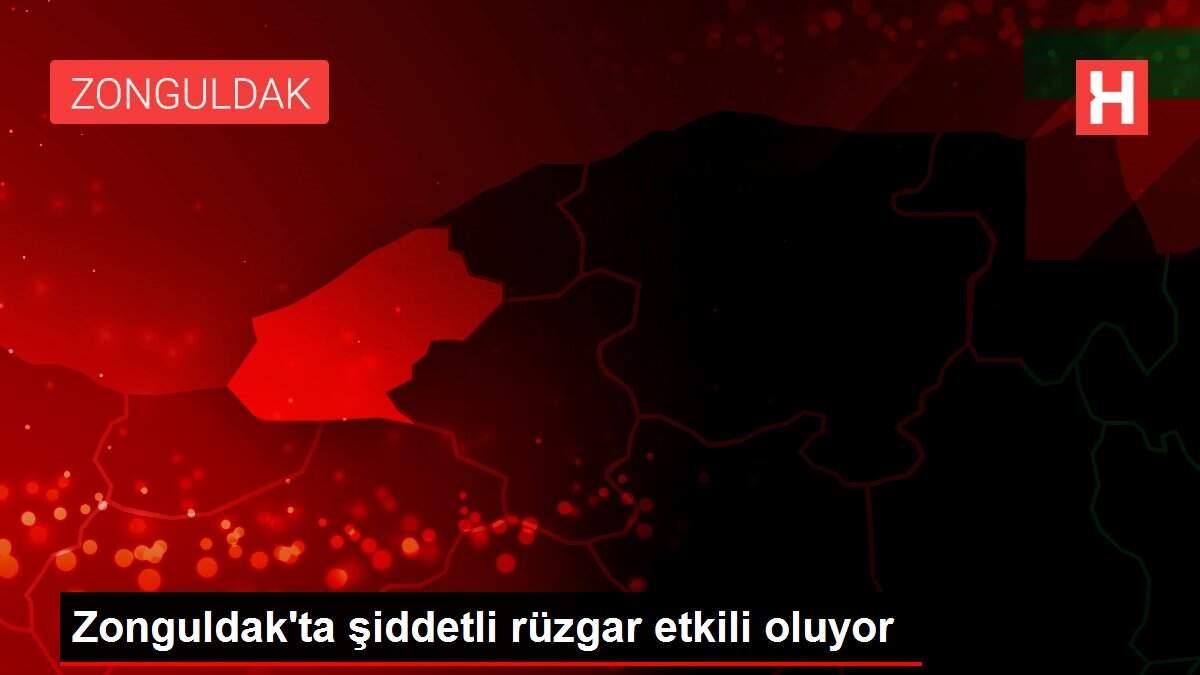 Zonguldak'ta şiddetli rüzgar etkili oluyor