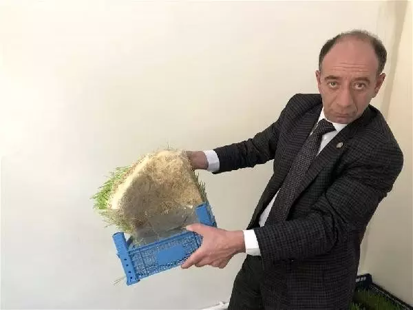 Ahırlarda yem üretilecek Ahırlarda yem üretilecek