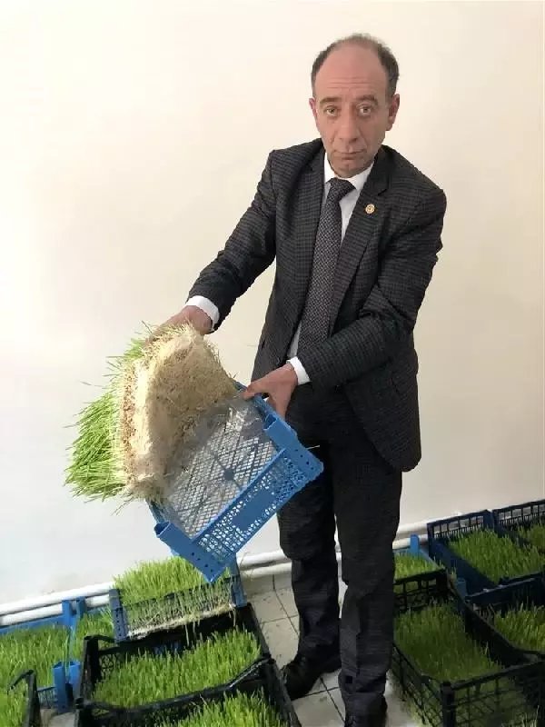 Ahırlarda yem üretilecek Ahırlarda yem üretilecek