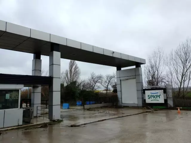 Şeker Piliç'e ait 37 marka icradan yarı fiyatına satışa çıkacak.