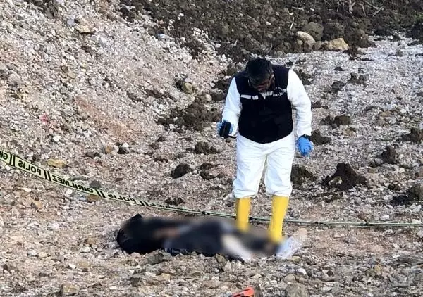 Kalbinden bıçaklanmış bulunan Furkan'ı eski sevgilisinin eşi öldürmüş Kalbinden bıçaklanmış bulunan Furkan'ı eski sevgilisinin eşi öldürmüş