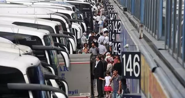 Şehirlerarası otobüslerde yeni dönem! Evcil hayvanlar artık otobüslerde yolcularla seyahat edebilecek Şehirlerarası otobüslerde yeni dönem! Evcil hayvanlar artık otobüslerde yolcularla seyahat edebilecek