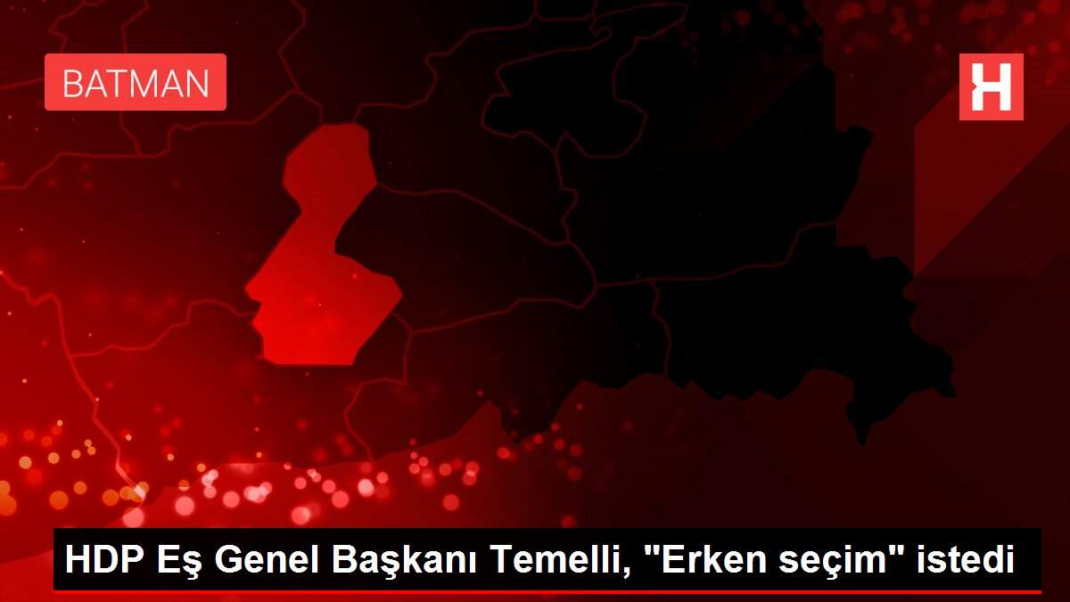 HDP Eş Genel Başkanı Temelli, 'Erken seçim' istedi