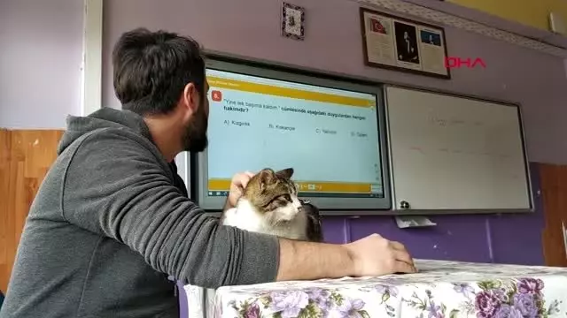 Karaman soğuktan kurtardıkları kedi, sınıfın maskotu oldu Karaman soğuktan kurtardıkları kedi, sınıfın maskotu oldu