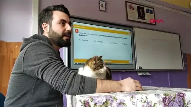 Karaman soğuktan kurtardıkları kedi, sınıfın maskotu oldu Karaman soğuktan kurtardıkları kedi, sınıfın maskotu oldu