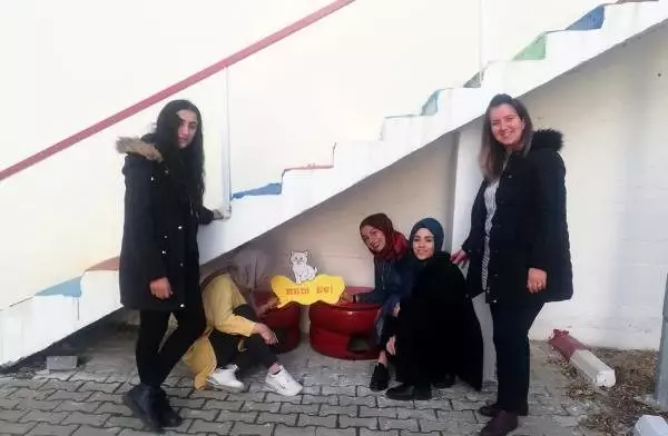 Öğrenciler, hurda lastikleri sokak kedileri için yuvaya dönüştürdü