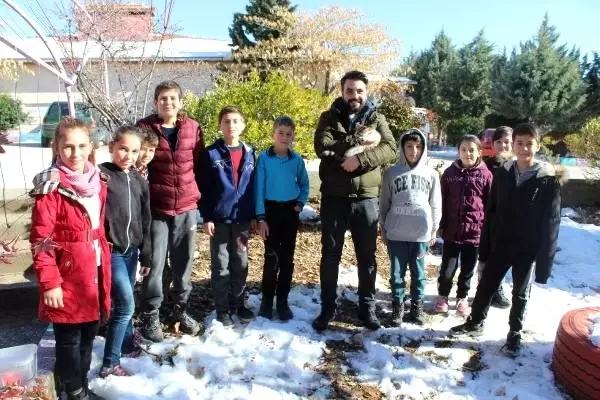 Soğuktan kurtardıkları kedi, sınıfın maskotu oldu Soğuktan kurtardıkları kedi, sınıfın maskotu oldu