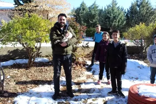 Soğuktan kurtardıkları kedi, sınıfın maskotu oldu Soğuktan kurtardıkları kedi, sınıfın maskotu oldu