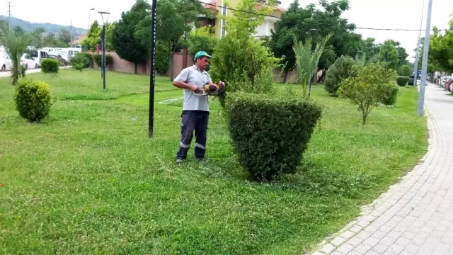 Binlerce fidan Yunusemre'de toprakla buluştu Binlerce fidan Yunusemre'de toprakla buluştu