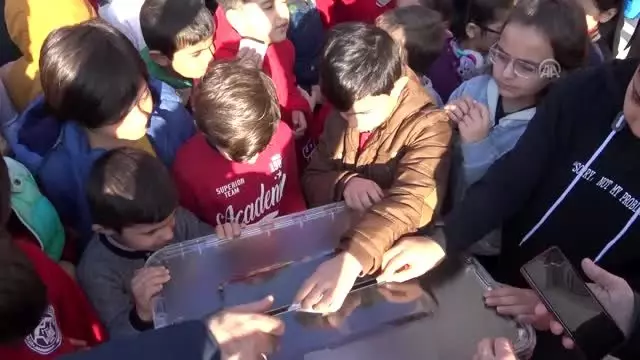 İlkokul öğrencilerinden NCL2 hastası Ahmet için bağış İlkokul öğrencilerinden NCL2 hastası Ahmet için bağış