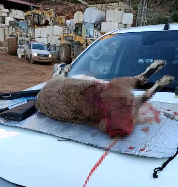 Kaçak avcılara ağır ceza