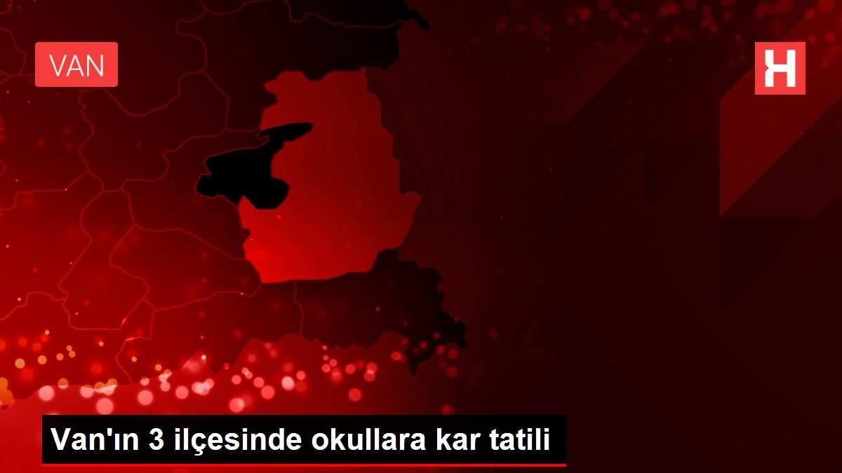 Van'ın 3 ilçesinde okullara kar tatili