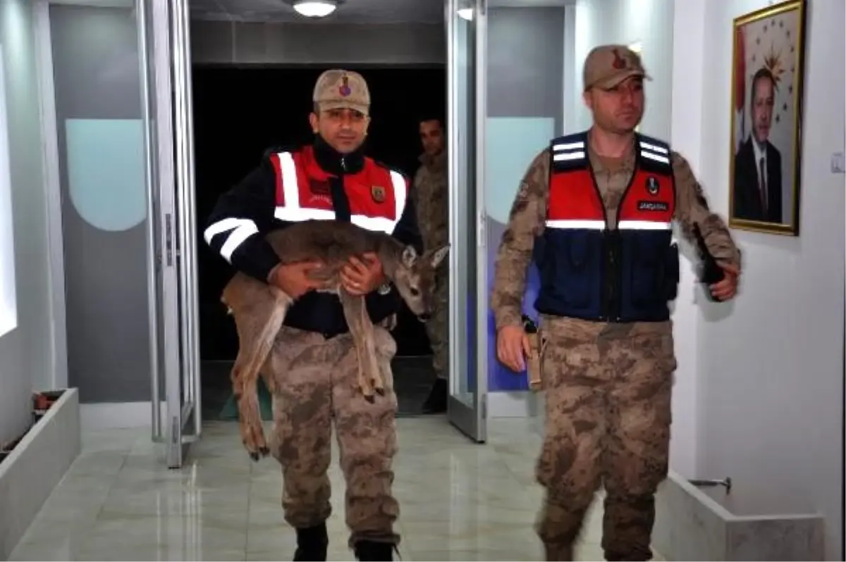 Jandarma Darbe Davasinda Istenen Cezalar Belli Oldu Memurlar Net