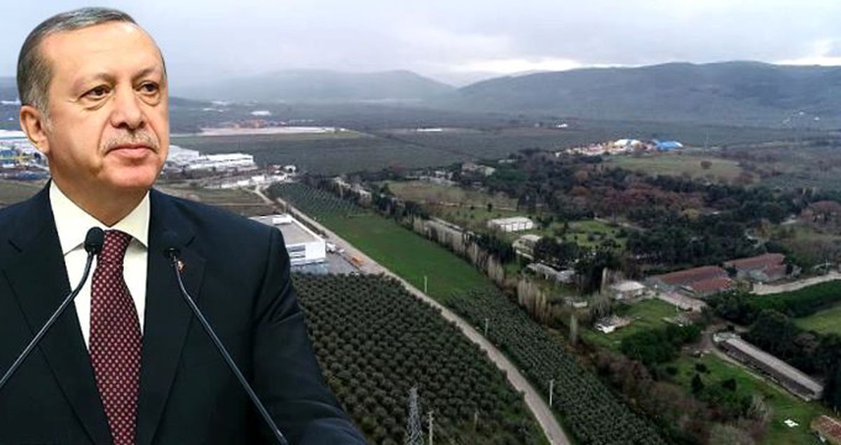 Yerli otomobil fabrikasının kurulacağı Gemlik'te arsa fiyatları yarı yarıya arttı