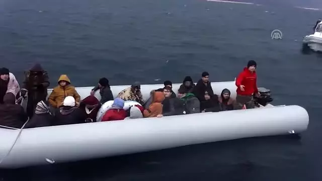 221 düzensiz göçmen yakalandı 221 düzensiz göçmen yakalandı