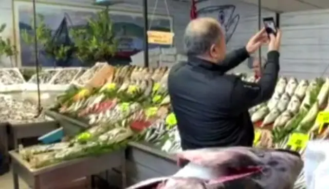 325 kiloluk orkinos görenleri şaşkına çevirdi! Vatandaşlar selfie çektirmek için yarışa girdi