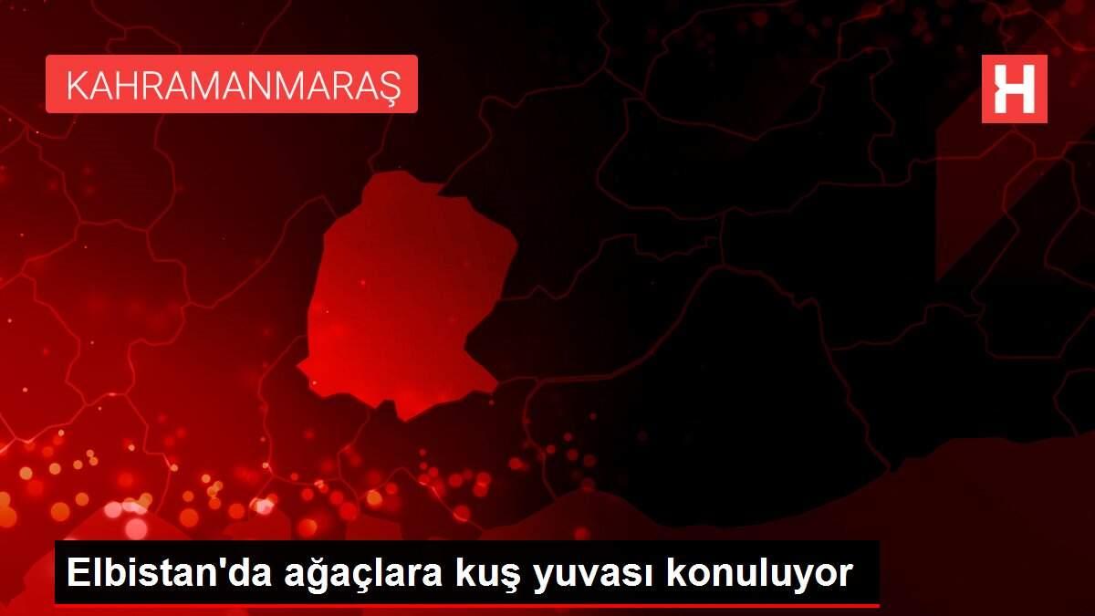Elbistan'da ağaçlara kuş yuvası konuluyor
