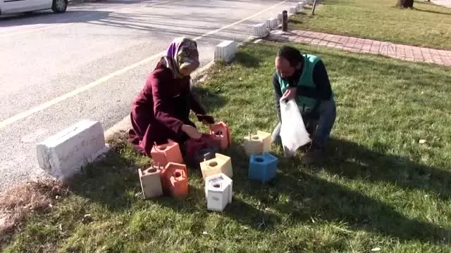 Elbistan'da ağaçlara kuş yuvası konuluyor