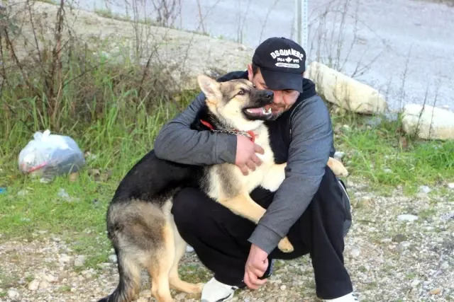 Köpeği bıçaklayarak öldüren adamın savunması şaşırttı Köpeği bıçaklayarak öldüren adamın savunması şaşırttı