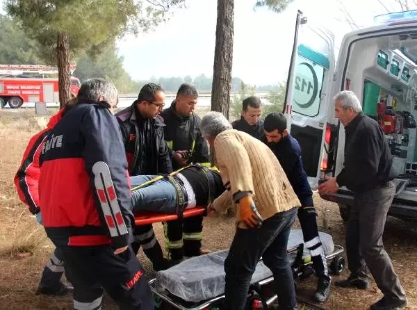 Kestiği ağacın altında kalan işçi yaralandı Kestiği ağacın altında kalan işçi yaralandı
