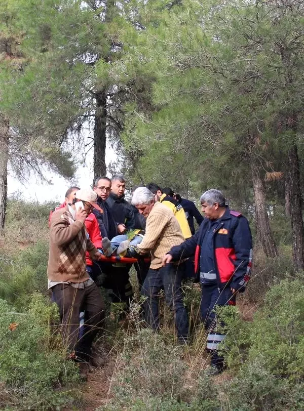 Kestiği ağacın altında kalan işçi yaralandı Kestiği ağacın altında kalan işçi yaralandı