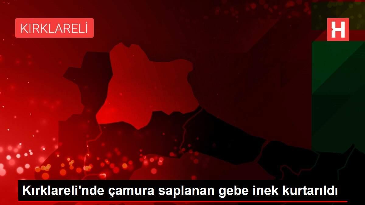 Kırklareli'nde çamura saplanan gebe inek kurtarıldı