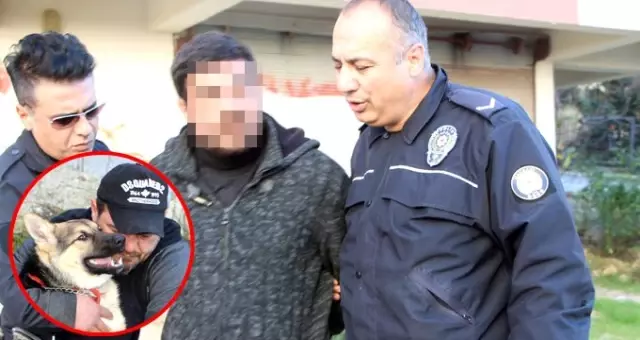 Kurt cinsi köpeği bıçaklayarak öldürdüğünü itiraf eden şahsın ifadeleri kan dondurdu