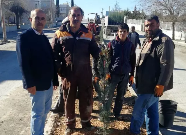 Samsat'ta refüjlerde ağaçlandırma çalışması