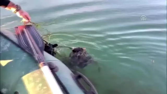 Sapanca Gölü'nde