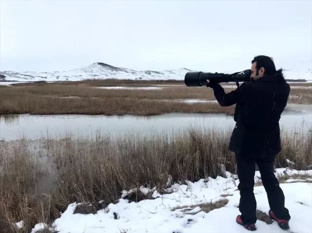 Sivas'ta kuş sayımı yapıldı