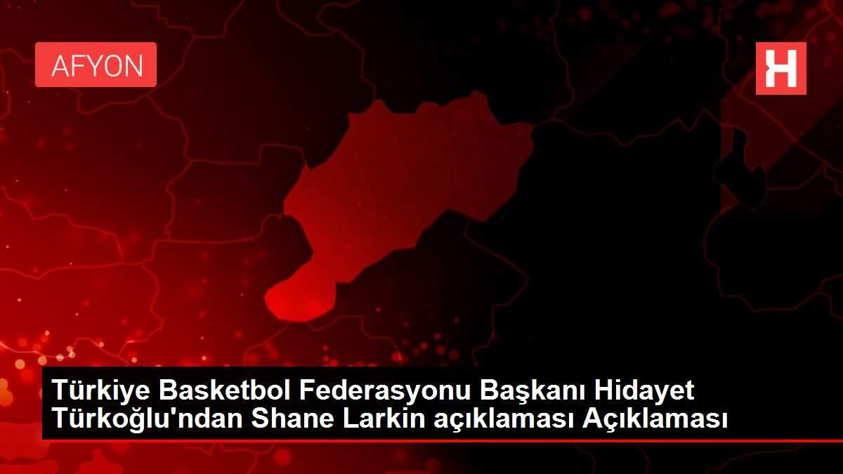 Türkiye Basketbol Federasyonu Başkanı Hidayet Türkoğlu'ndan Shane Larkin açıklaması Açıklaması Türkiye Basketbol Federasyonu Başkanı Hidayet Türkoğlu'ndan Shane Larkin açıklaması Açıklaması