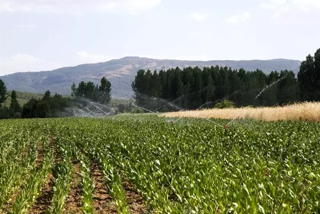 DSİ Manisa'da 15 baraj 10 gölet yaptı DSİ Manisa'da 15 baraj 10 gölet yaptı