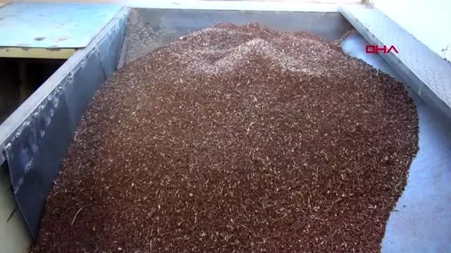 Gümüşhane glutensiz un ve bulgur tesisinde üretim başladı Gümüşhane glutensiz un ve bulgur tesisinde üretim başladı