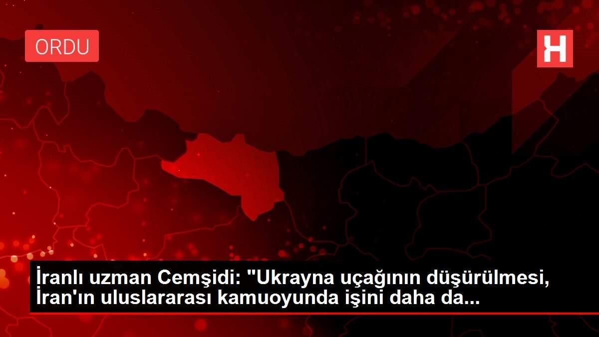 İranlı uzman Cemşidi: 'Ukrayna uçağının düşürülmesi, İran'ın uluslararası kamuoyunda işini daha da...