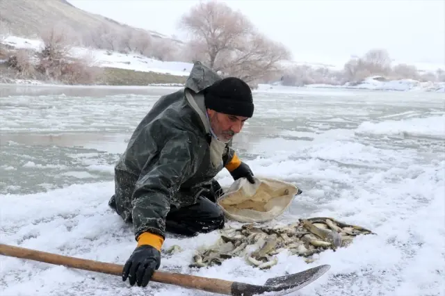 Murat Nehri'nin buz gibi suyunda ekmek mücadelesi