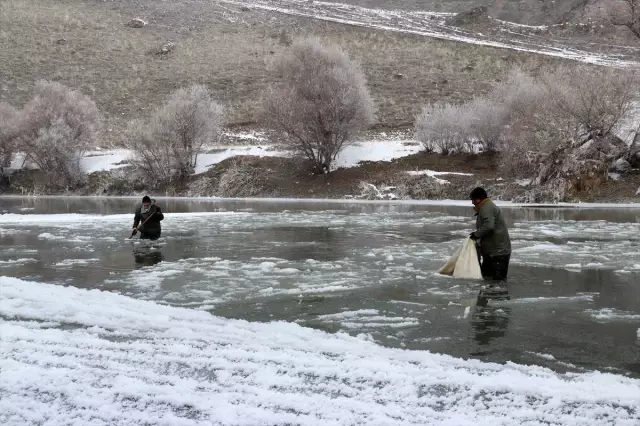 Murat Nehri'nin buz gibi suyunda ekmek mücadelesi