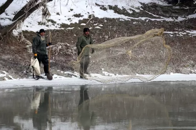 Murat Nehri'nin buz gibi suyunda ekmek mücadelesi