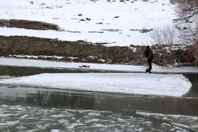 Murat Nehri'nin buz gibi suyunda ekmek mücadelesi