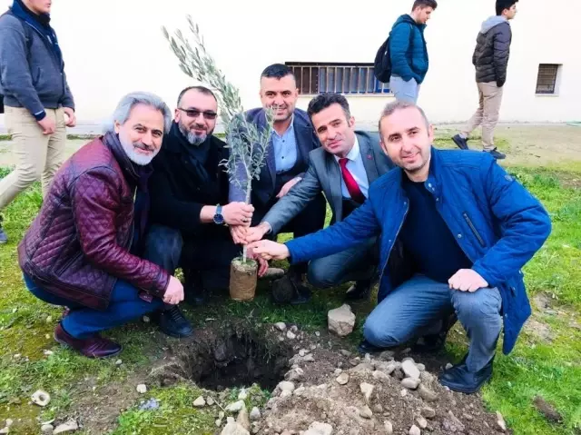Salihli'de fidan dikme etkinliği düzenlendi Salihli'de fidan dikme etkinliği düzenlendi
