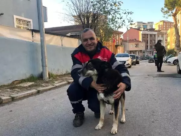 Şefkatli kalbin altından dram çıktı Şefkatli kalbin altından dram çıktı