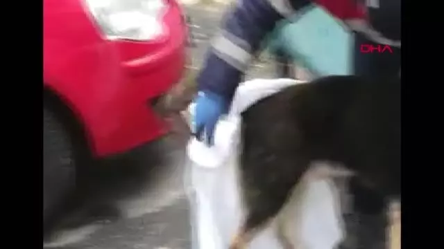 Şefkatli kalbin altından dram çıktı Şefkatli kalbin altından dram çıktı
